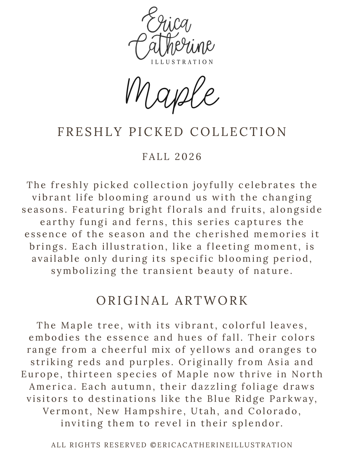 A digital graphic card for Erica Catherine Illustration featuring the 'Maple Freshly Picked Collection' fall 2026 art print series. The card displays elegant typography with a black script logo at the top, followed by descriptive text about the 'Freshly Picked Collection' and 'Original Artwork' on a solid white background.