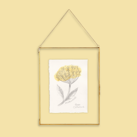 A framed botanical art print of a yellow milkweed flower, hanging from a thin gold wire frame against a solid pale yellow background.