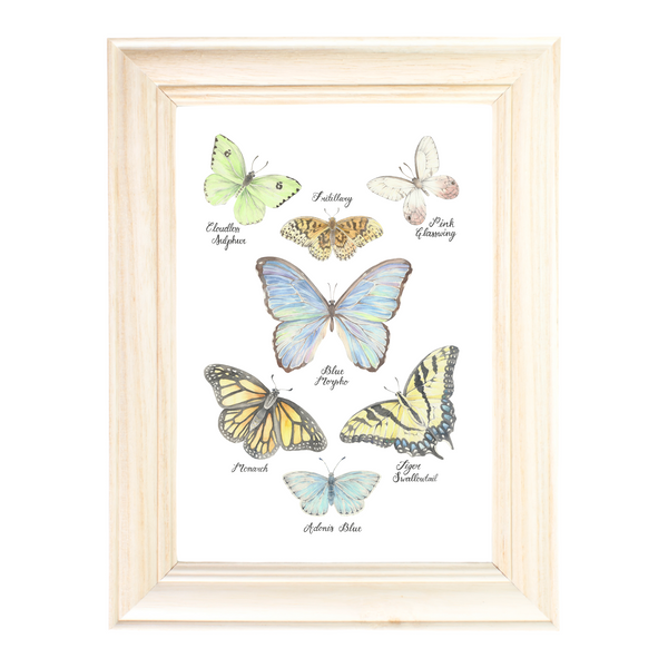 Butterfly Collection Art Print by Erica Catherine Gallery 209