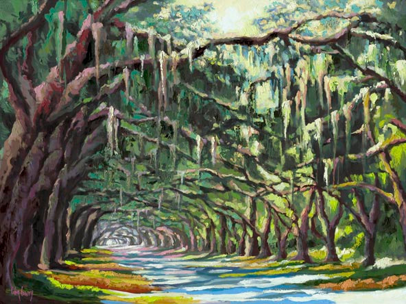 Oak trees in Savannah GA 