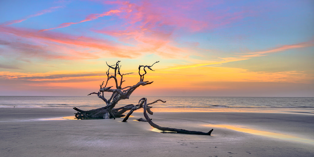 Driftwood Beach Sunrise, Jekyll