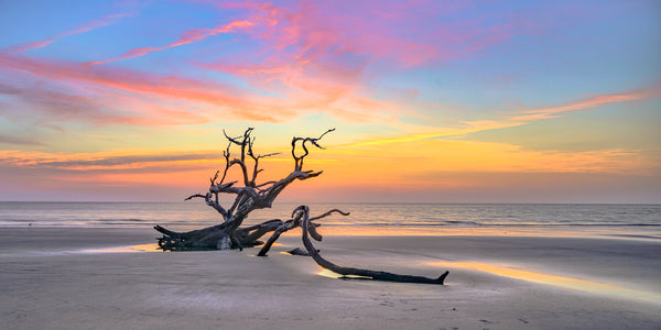Driftwood Beach Sunrise, Jekyll