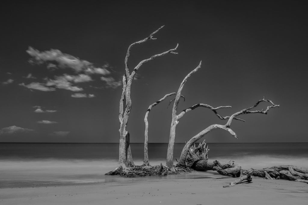 Reaching, coast of Georgia