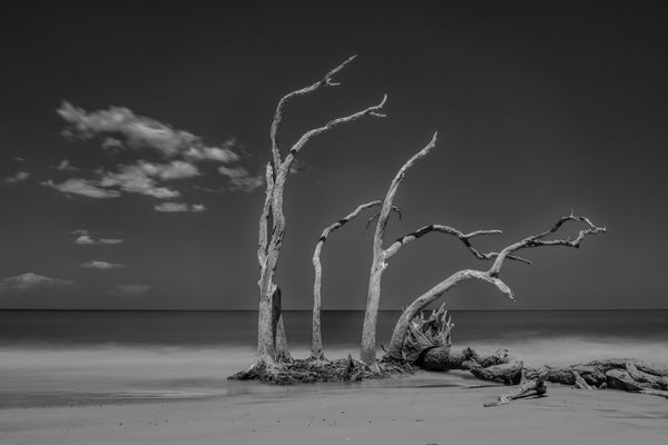 Reaching, coast of Georgia