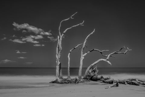 Reaching, coast of Georgia