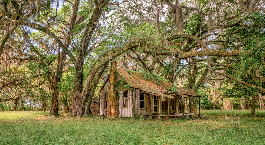 The Old Home Place