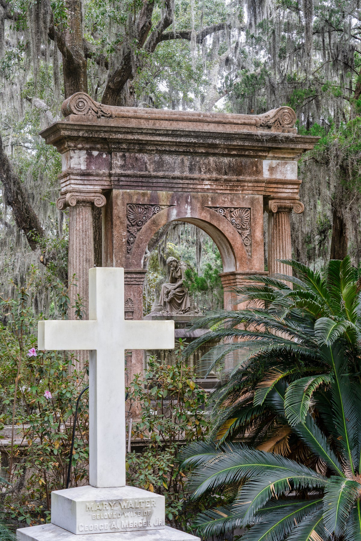 Mercer Plot