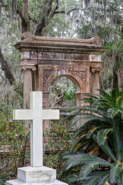 Mercer Plot
