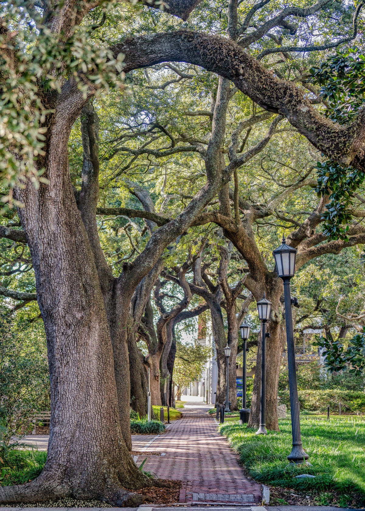 Johnson Square