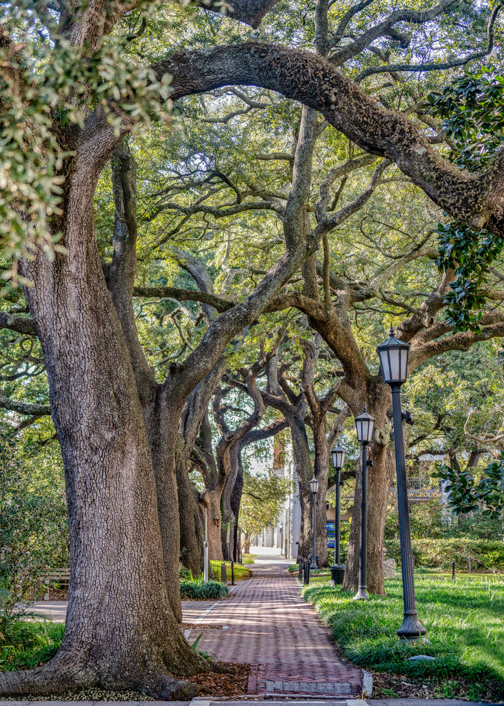 Johnson Square