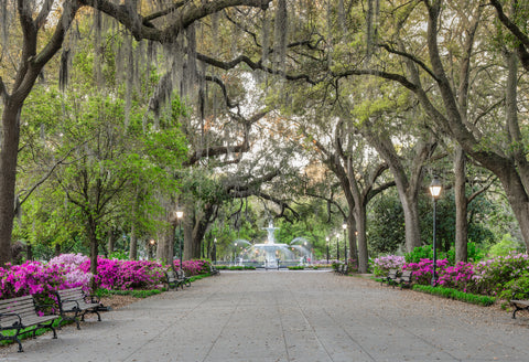 Forsyth Fountain Scene