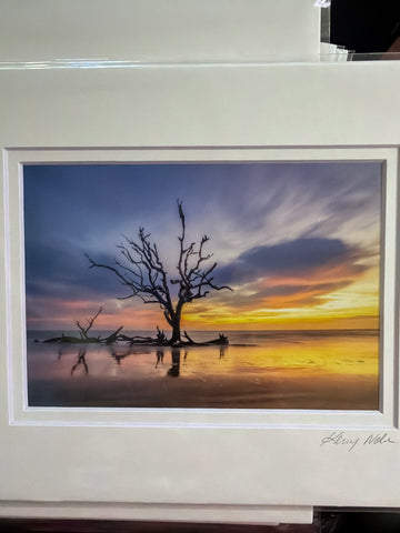 Driftwood Beach Sunrise, Jekyll Island