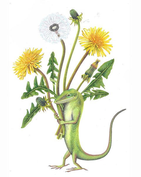 Anole Friend Print