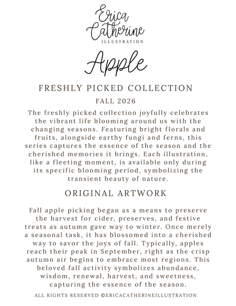 A digital graphic card for Erica Catherine Illustration featuring the title 'Apple' and 'Freshly Picked Collection Fall 2026' with descriptive text about fall apple picking.