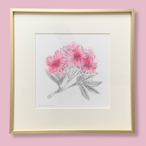 Azalea Study Original Artwork