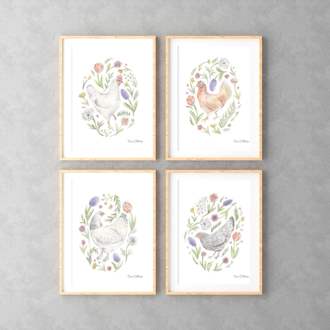Four framed prints of chickens and floral wreaths on a gray wall.