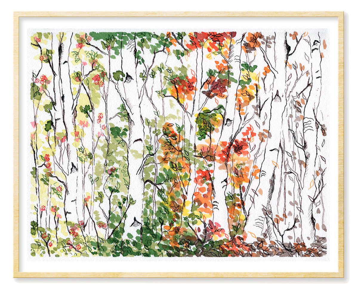 Birch Forest, Four Seasons - Art Print