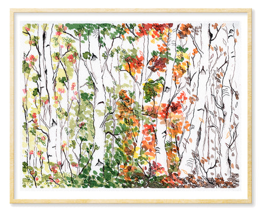 Birch Forest, Four Seasons - Art Print