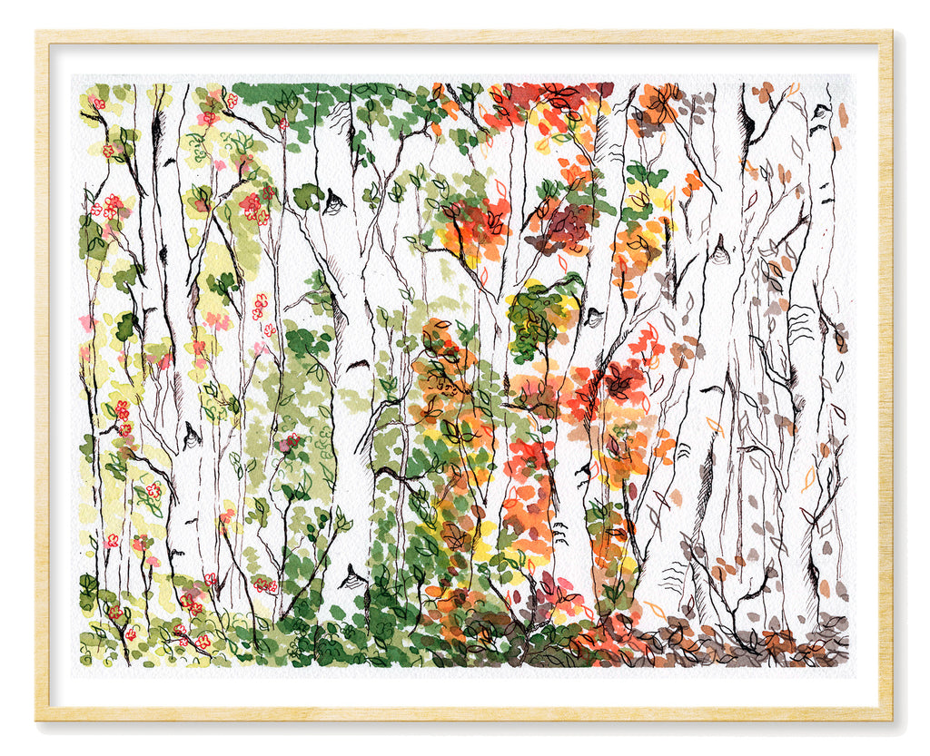 Birch Forest, Four Seasons - Art Print