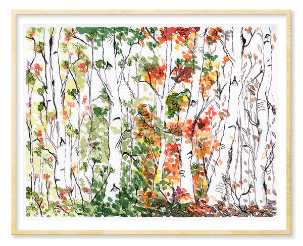 Birch Forest, Four Seasons - Art Print