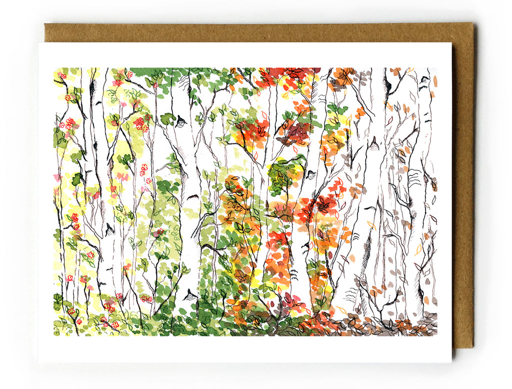 Birch Forest, Four Seasons - Boxed Card Set