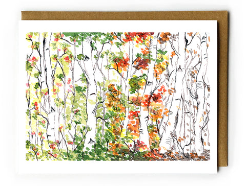Birch Forest, Four Seasons - Boxed Card Set