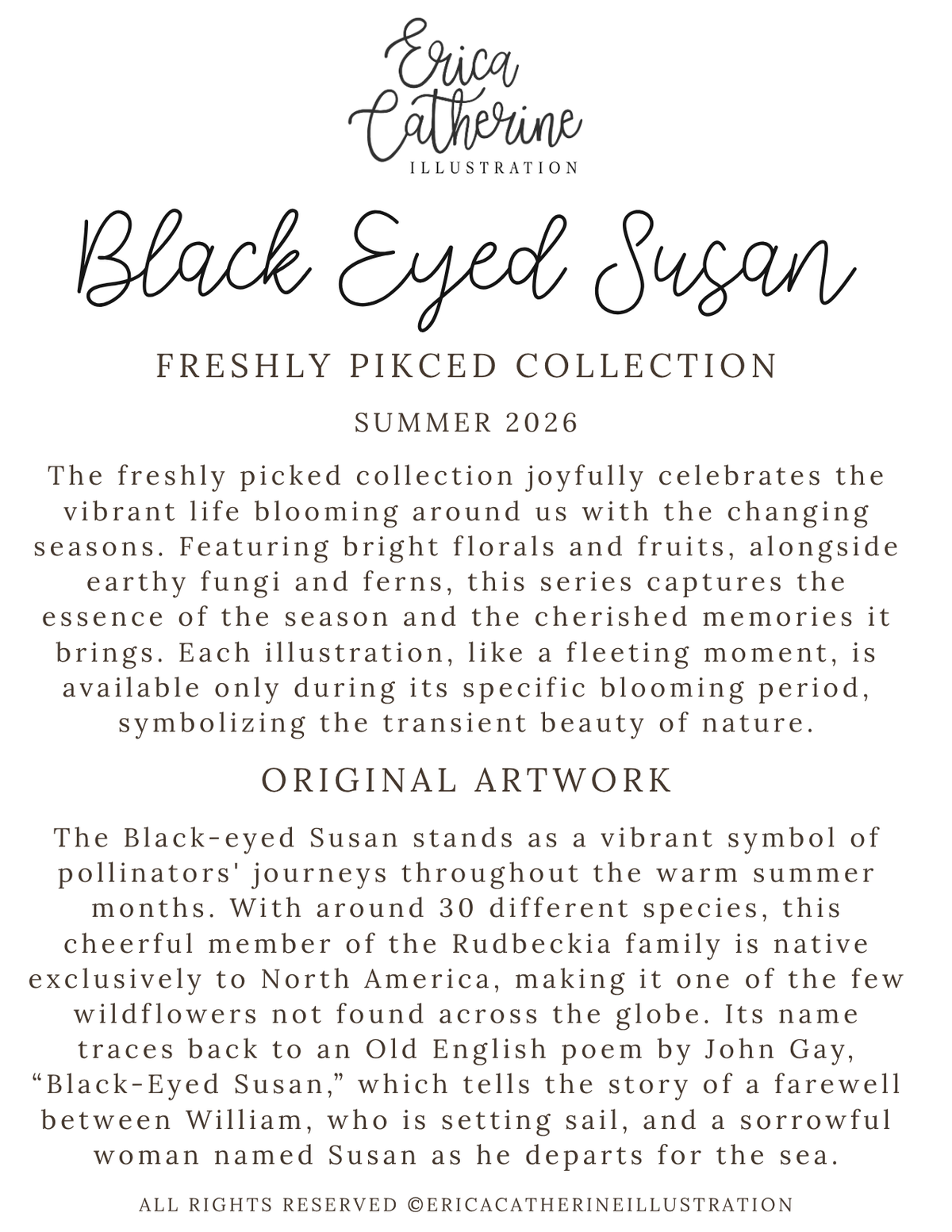 A text-based promotional graphic for Erica Catherine Illustration's Freshly Picked Collection Summer 2026, featuring the title 'Black Eyed Susan' with descriptive copy about the illustrated series and original artwork.