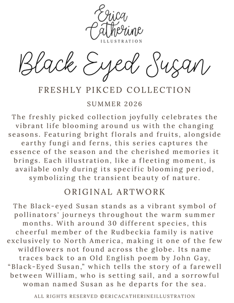 A text-based promotional graphic for Erica Catherine Illustration's Freshly Picked Collection Summer 2026, featuring the title 'Black Eyed Susan' with descriptive copy about the illustrated series and original artwork.