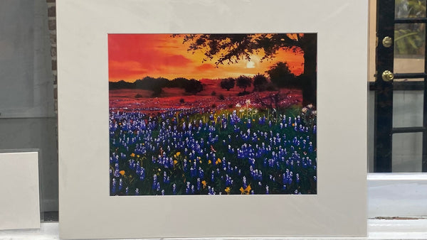 Bluebonnets