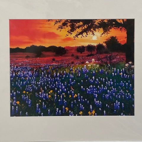 Bluebonnets by Sue Nichols