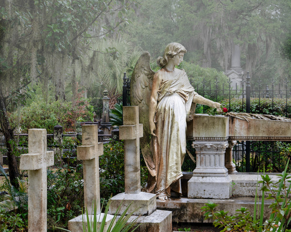 Broken Angel, Bonaventure