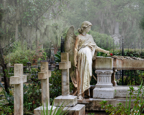 Broken Angel, Bonaventure