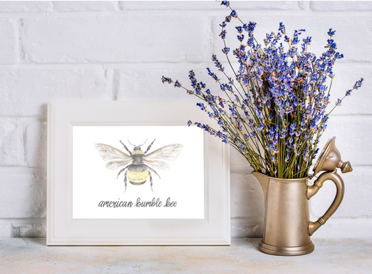 Butterfly and Insects Art Prints