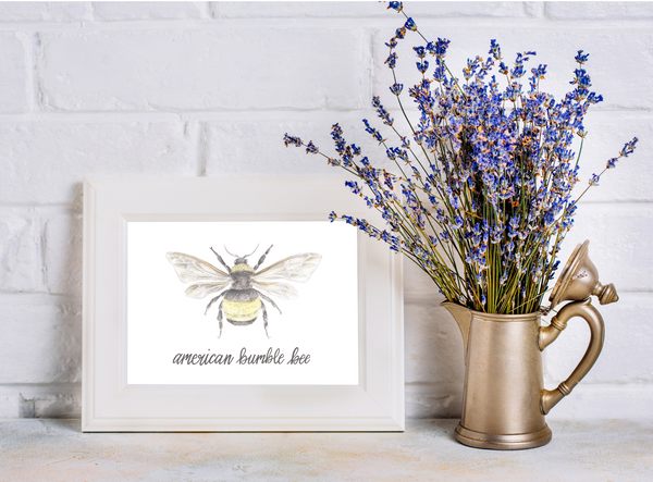 Butterfly and Insects Art Prints