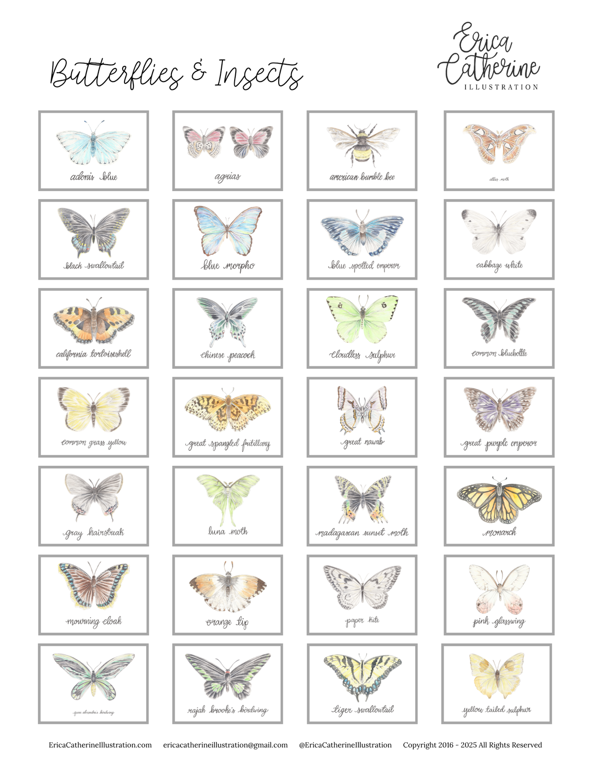 Butterfly and Insects Art Prints