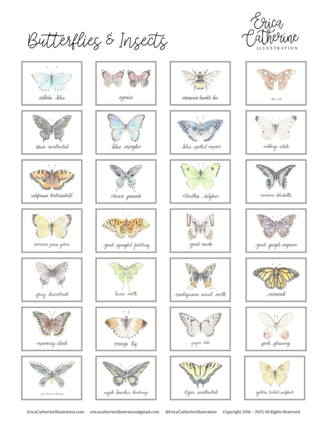 Butterfly and Insects Art Prints