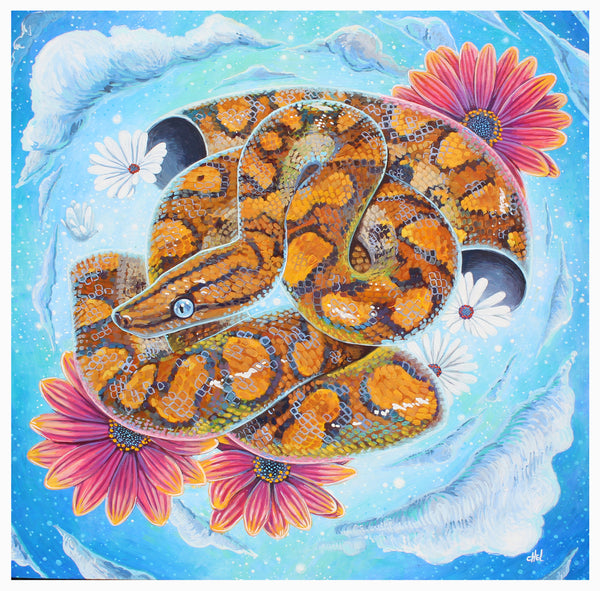 Celestial Boa Print
