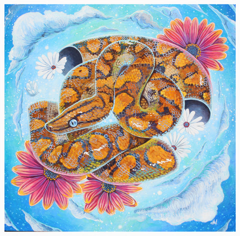 Celestial Boa Print