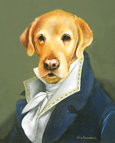 Dapper Boy Lab