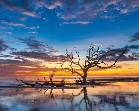 Driftwood Beach Sunrise by Kenny Nobles Gallery 209