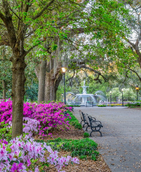 Forsyth Fountain Scene