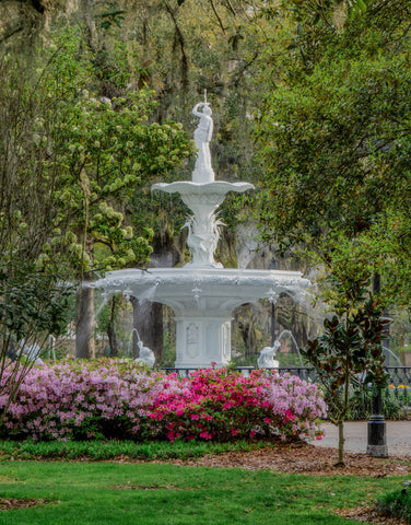 Forsyth Fountain Scene