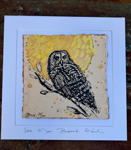 Framed Original Gold Moon Twelve by Twelve" Barred owl