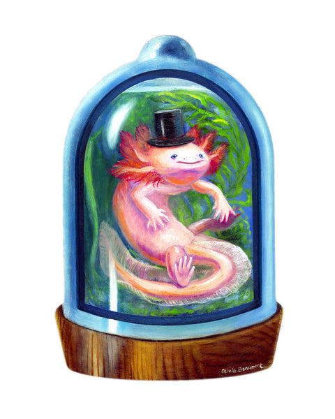 Fred Fizzyplop Axolotl Print