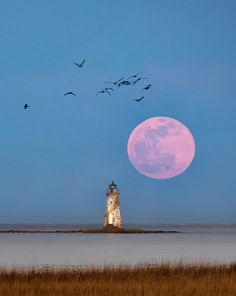 Full Moon over Cockspur