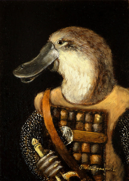 Gallus