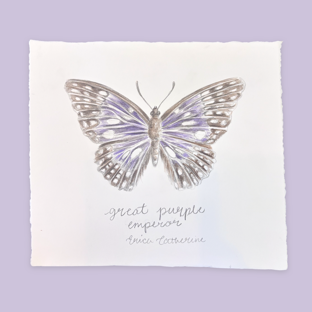 Great Purple Emperor Butterfly Original Artwork Unframed