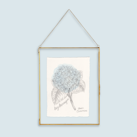 Hydrangea Flower Original