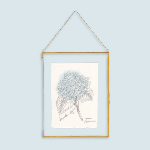 Hydrangea Flower Original