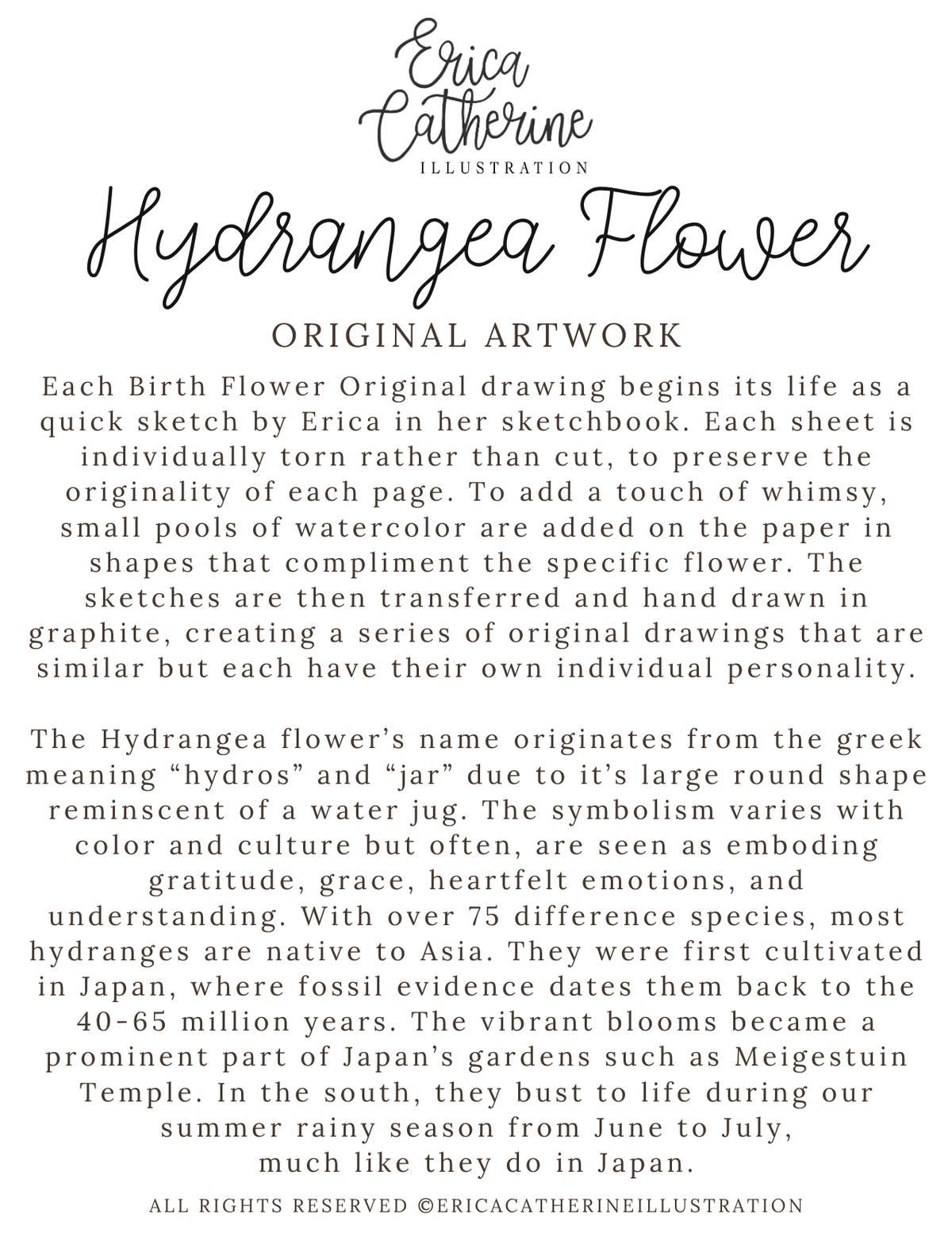 Hydrangea Flower Original
